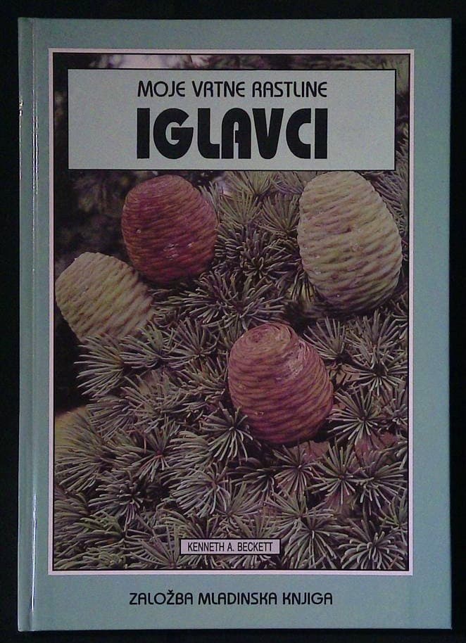 Iglavci
