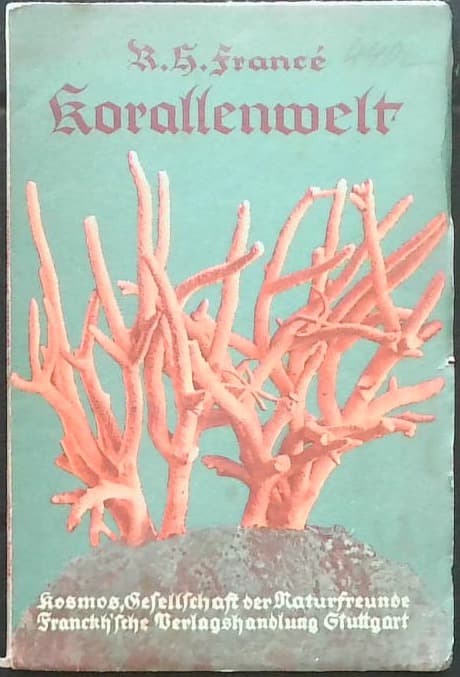 Korallenwelt