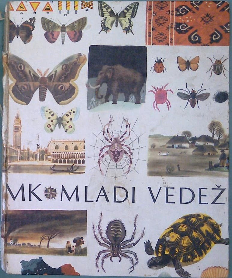 Mladi vedež