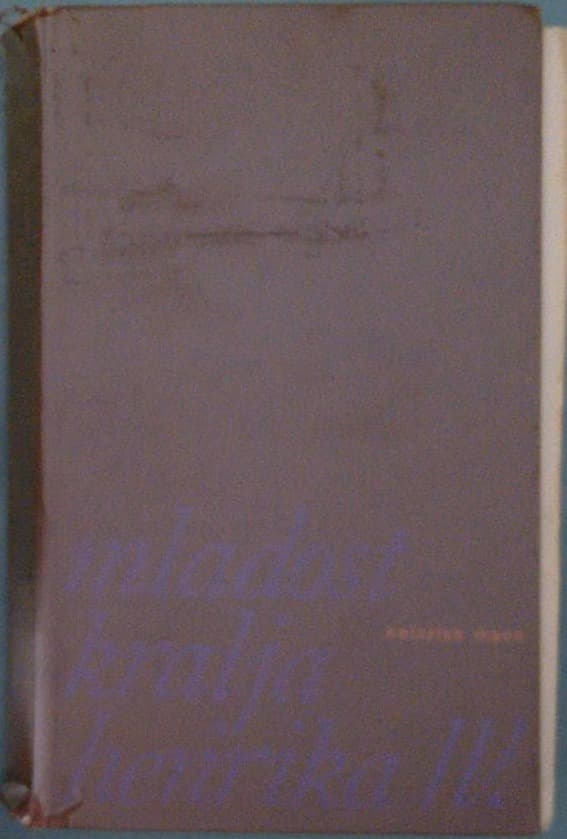 Mladost kralja Henrika IV.