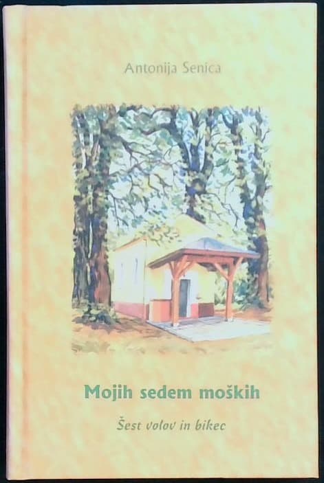 Mojih sedem moških