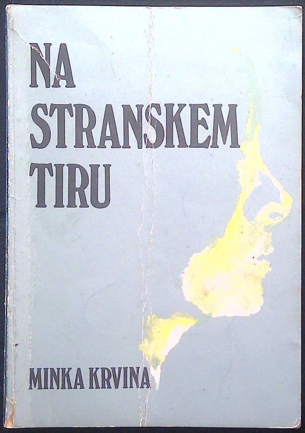 Na stranskem tiru