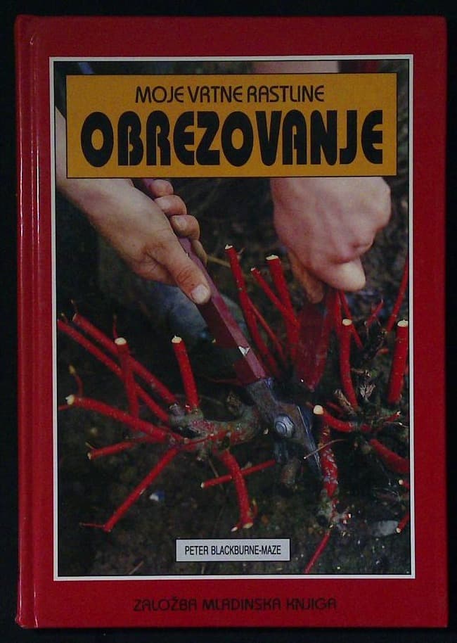 Obrezovanje
