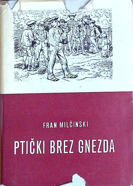 Ptički brez gnezda