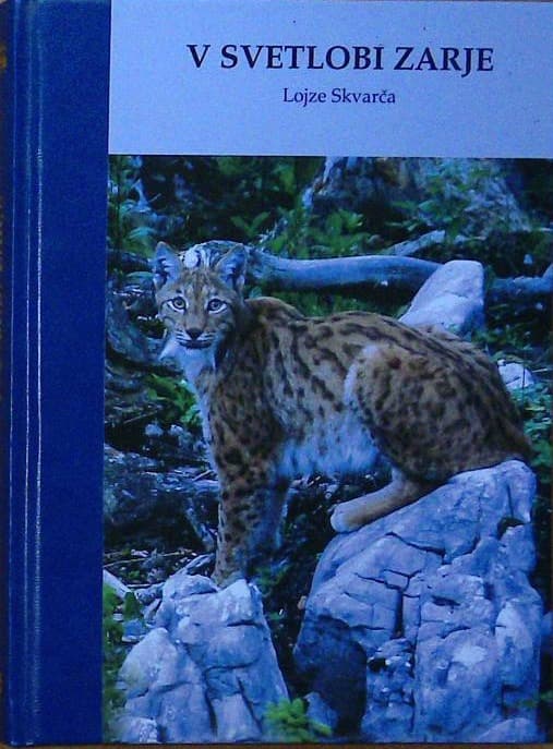 V svetlobi zarje