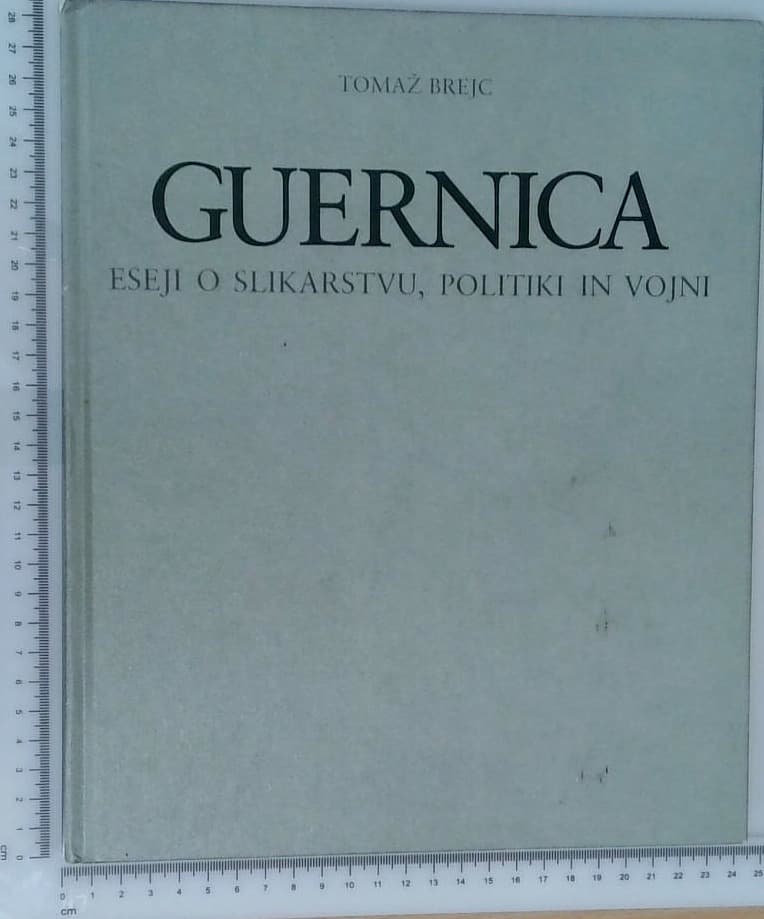Guernica - eseji o slikarstvu, politiki in vojni