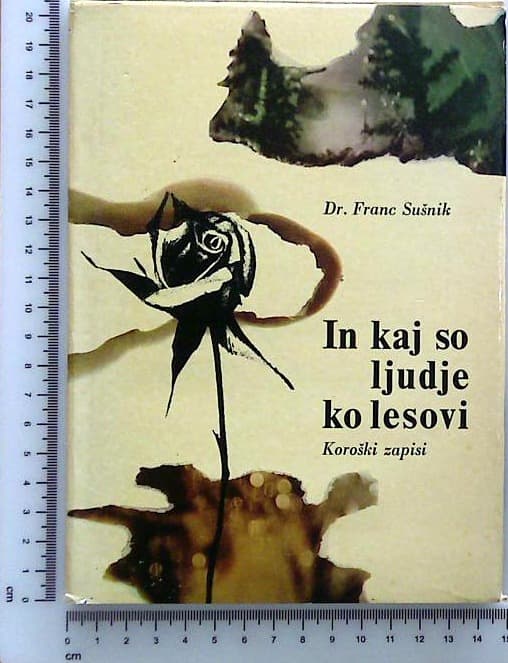In kaj so ljudje ko lesovi : Koroški zapisi
