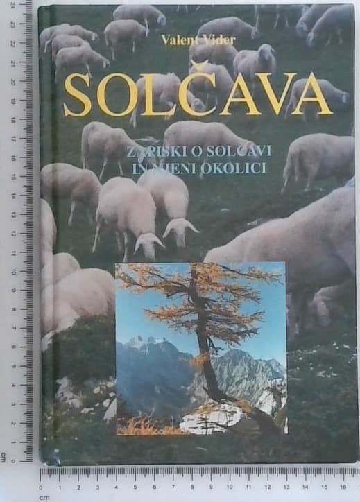 Solčava - zapiski o Solčavi in njeni okolici : prispevki k zgodovinskemu in etnografskemu gradivu