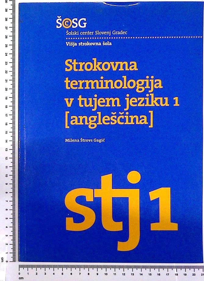 Strokovna terminologija v tujem jeziku