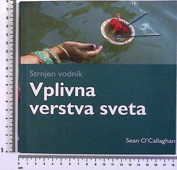 Vplivna verstva sveta